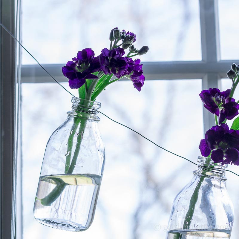 Bottle Vase Garland