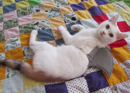 make a shark cat costume