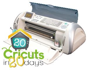 20 cricuts in 20 days