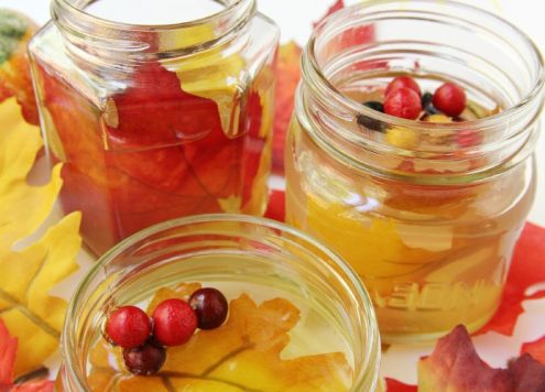 DIY Gel Air Fresheners