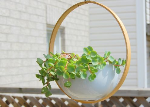Make a Hanging Hoop Planter