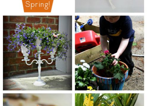 10 DIY Planters that Work Inside or Out - Get your backyard spring-ready or bring some spring beauty indoors with these DIY planters. They'll work inside or outside.