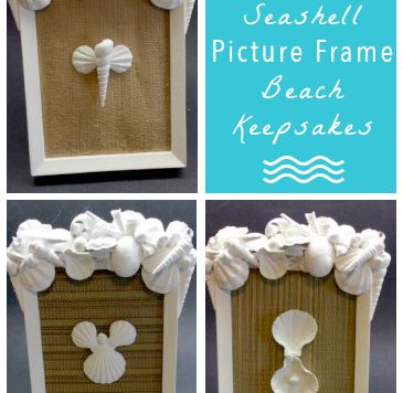 Sea Shell Picture Frame Tutorial - Want a unique way to display the shells you collect at the beach this summer? Try making this easy picture frame!