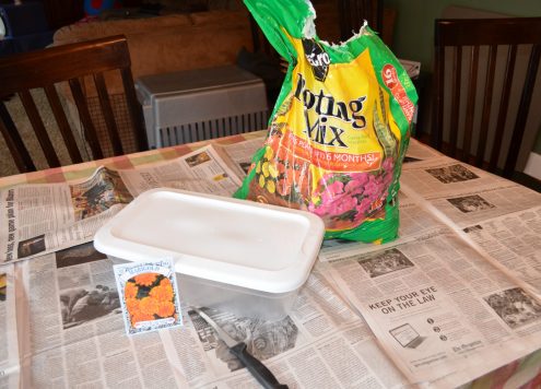 Tutorial: "Watch It Grow" Planter