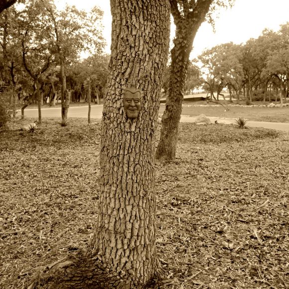 Face in the trees DIY