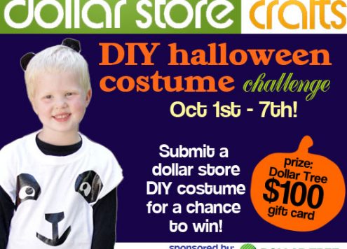 Halloween Costume Challenge at Dollar Store Crafts