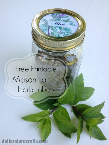 Free Printable Mason Jar Lid Herb Labels