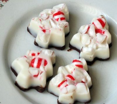 peppermint bark trees