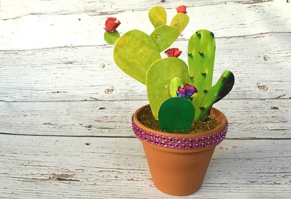 How to Make a Photo Cactus Garden