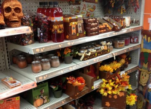 fall decor shopping at Dollar General