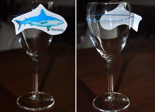 shark week wine charms