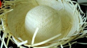 silly hats - tom sawyer