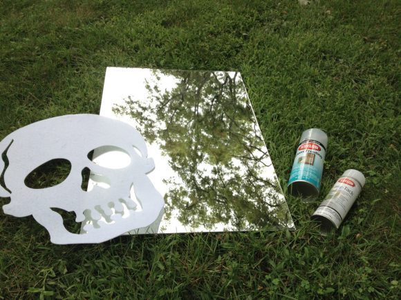 Frosted Skull Mirror