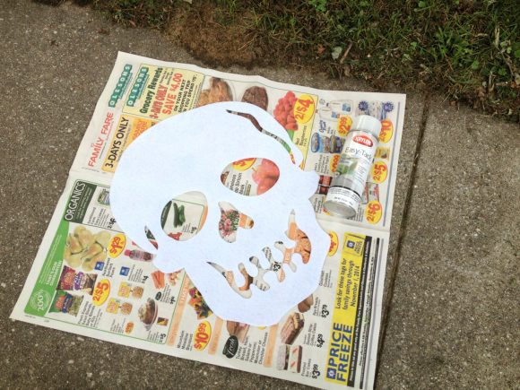 Frosted Skull Mirror