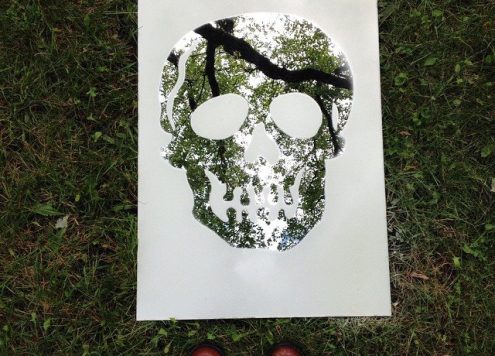 Frosted Skull Mirror