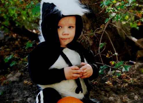skunk costume