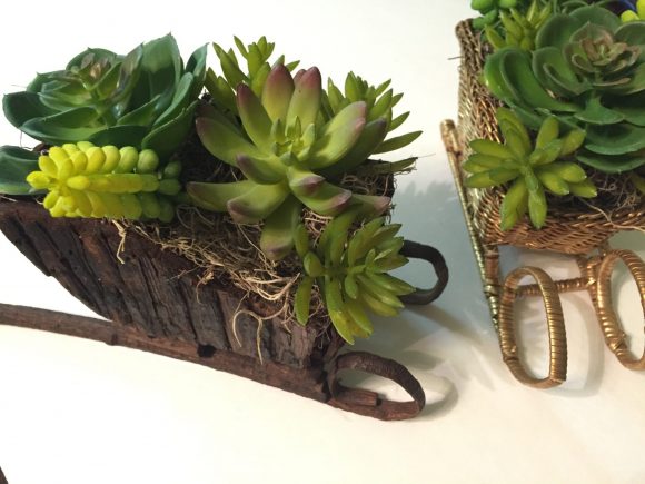 Succulent Sleighs 5