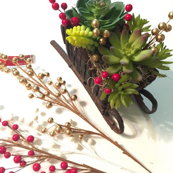 Succulent Sleighs 6