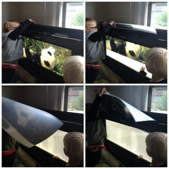 Switching the graphic on a Lightheaded Bed