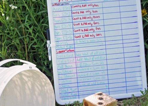 Make a Yard Yahtzee Game